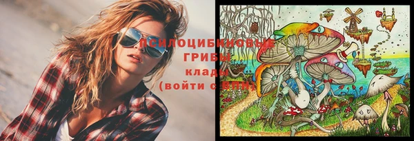 Альфа ПВП Новозыбков
