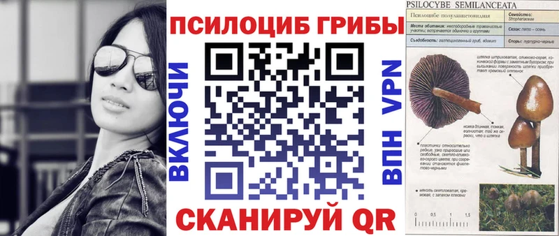 магазин гидра ссылки Галлюциногенные грибы Magic Shrooms Азов