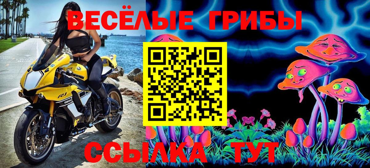 Псилоцибиновые грибы Magic Shrooms  Псилоцибиновые грибы ЛСД  Азов 