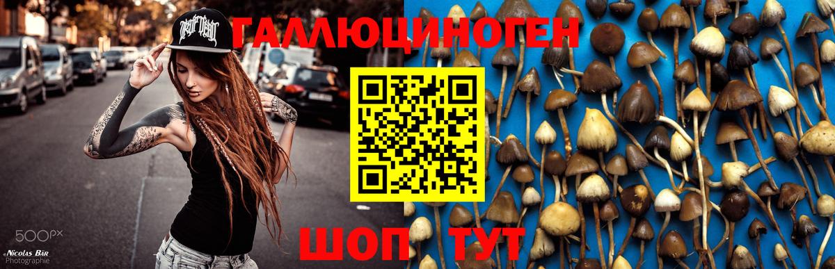 Галлюциногенные грибы ЛСД  Галлюциногенные грибы мухоморы  Вход с VPN  Азов 